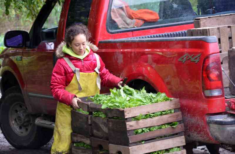 Zoe Brock with vegetable crate in front of the Henry's Farm pickup truck